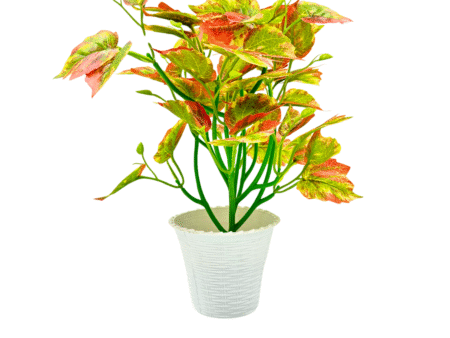 Artificial Plants with Pot Showcase Decoration Plants Leaf | Fake Plant | Artificial Plants for Home Decor Office Gifting Plants Decorative Potted Plants (RV-AP19)